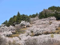 未だ、並んでます