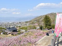 何を撮る？