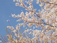 IMG 4579