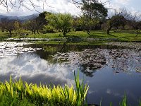 IMG 4588