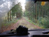 迷って獣道へ