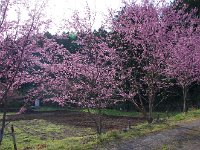 IMG 4681