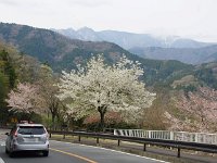 IMG 4731