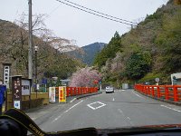 この先、大渋滞！