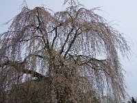 IMG 4790