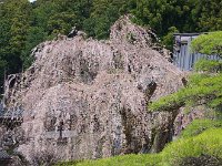 IMG 4801