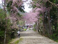 IMG 4812