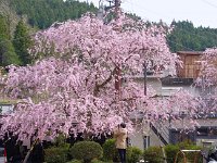 IMG 4843