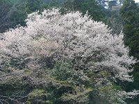 山門下の駐車場