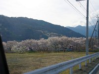 IMG 4894