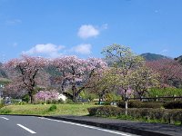 IMG 4933