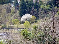 IMG 5087