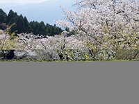 IMG 5175