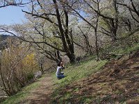 IMG 5176