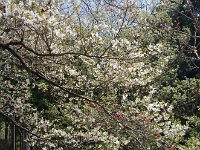 IMG 5181