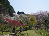 IMG 5197