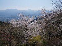 IMG 5224