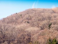 籠坂峠はまだ冬景色