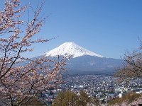 IMG 5311