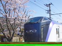 特急だ