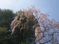 IMG 5410