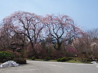 足元には雪が？