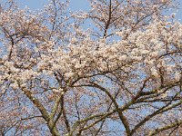 IMG 5441