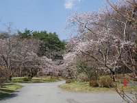 裏道も綺麗！