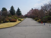 一寸、早いか？