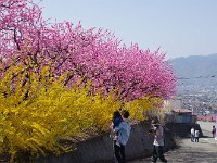 IMG 5507