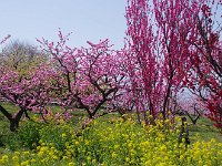 IMG 5508