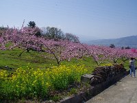 IMG 5511