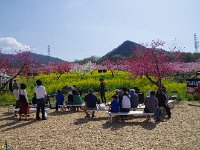 イベント会場・・・演奏会をやってました