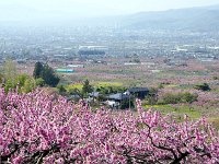 彼方に甲府中心部が