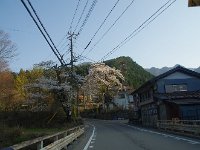 道志みちを走りました