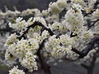image033
