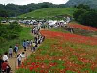 DSC07801  結構な人出となりました！