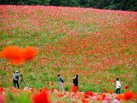 DSC 0108  この広がり・・・