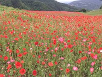 IMG 1612  パノラマ写真で広がりを