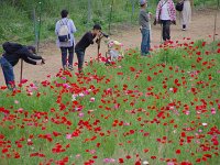 IMG 8361  皆、もう夢中です