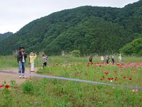 IMG 8376  撮る人を撮る