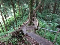 難路です。
