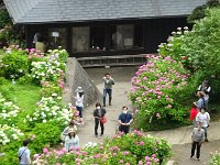 多くの客が来訪してます