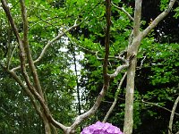 DSC08074