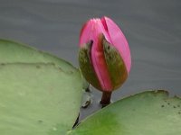 DSC08166