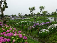 こちら側は一段と元気！