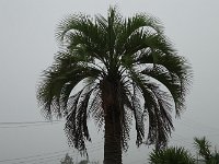 DSC08367