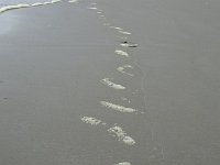 DSC08402