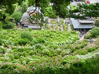 眼前に広がる景色