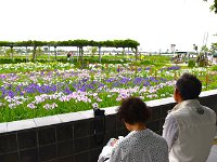 さすが、小腹が空きました